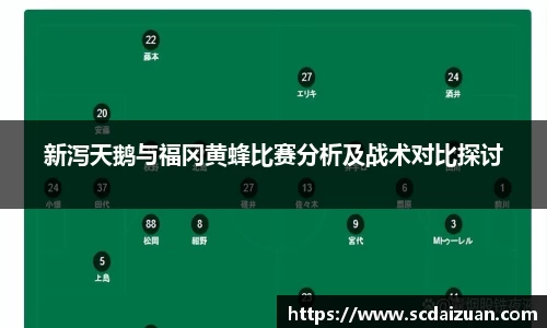 新泻天鹅与福冈黄蜂比赛分析及战术对比探讨